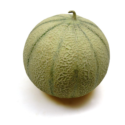 Produktfoto zu Melone - Galia