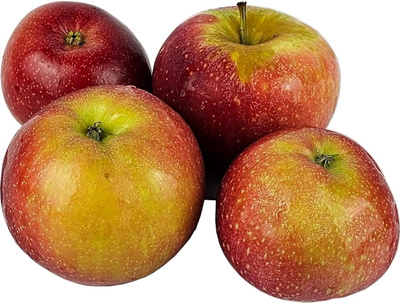 Produktfoto zu Apfel - Freya