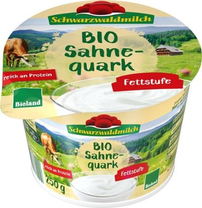 Produktfoto zu Sahnequark 40% FiT - Becher