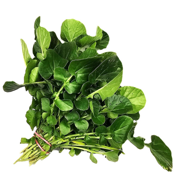 Produktfoto zu Brunnenkresse