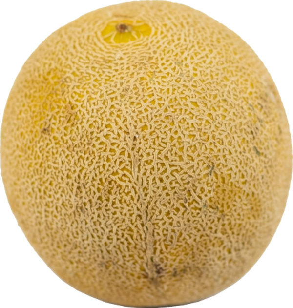 Produktfoto zu Melone charentais