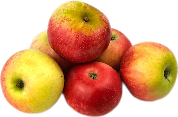 Produktfoto zu Apfel - Discovery