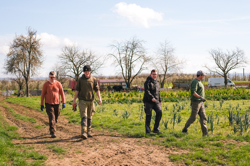 KI generiert: Vier Personen gehen auf einem Feldweg entlang eines landwirtschaftlichen Felds.