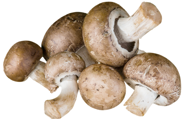 KI generiert: Einige braune Champignons auf weißem Hintergrund.