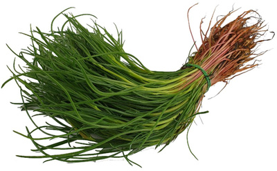 Produktfoto zu Roscano Agretti (Mönchsbart)