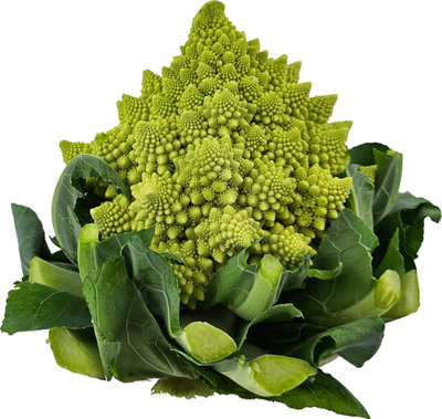 Produktfoto zu Romanesco