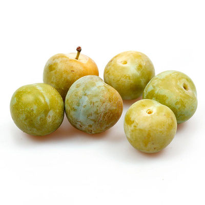 Produktfoto zu Pflaumen grün  Reneclode