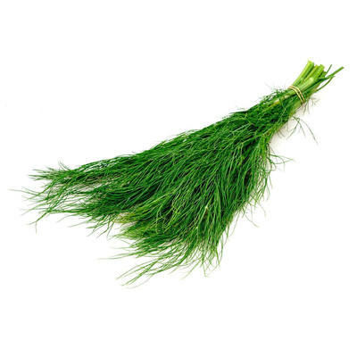 Produktfoto zu Dill  Bund
