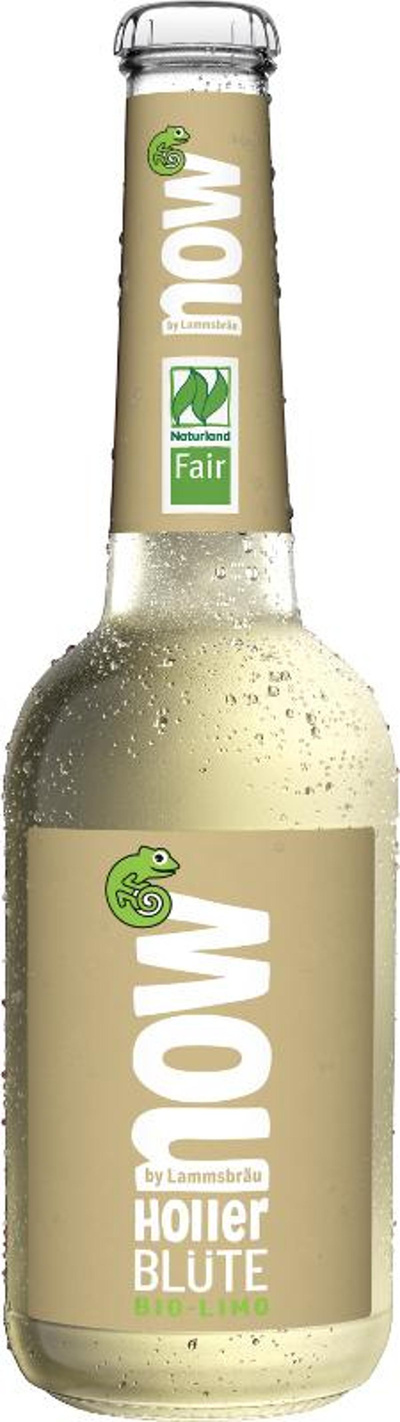 Produktfoto zu now - Holler Blüte