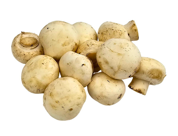Produktfoto zu Champignons weiss