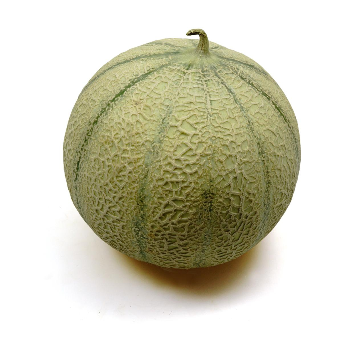 Melone charentais