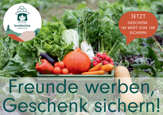 KI generiert: Ein Korb mit Gemüse und Text: "Freunde werben, Geschenk sichern!" und "JETZT GESCHENK IM WERT VON 10€ SICHERN!".