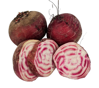 Produktfoto zu Rote Bete, Ringelbete (Tondo di Chioggia)