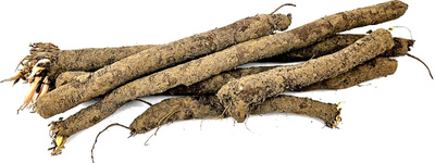 Produktfoto zu Schwarzwurzel