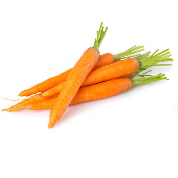 Produktfoto zu Früh Möhren