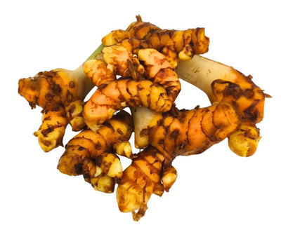 Produktfoto zu Frischer Kurkuma