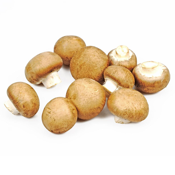 Produktfoto zu Steinchampignon