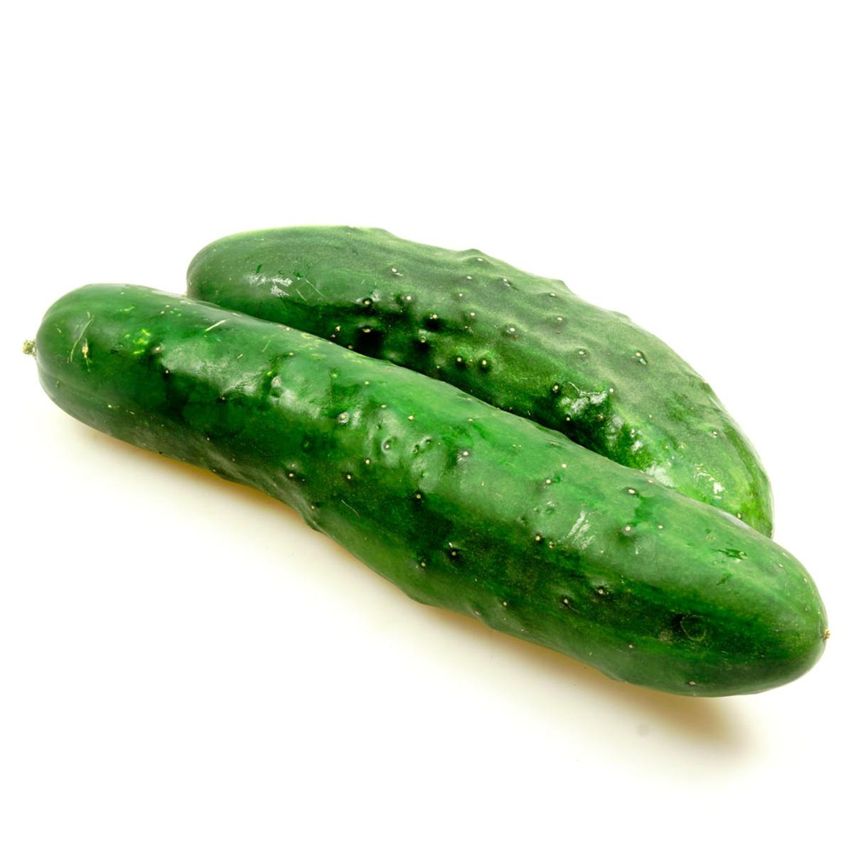 Landgurke