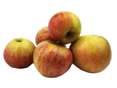Produktfoto zu Apfel - Rubinette