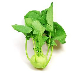Produktfoto zu Kohlrabi weiß_violett