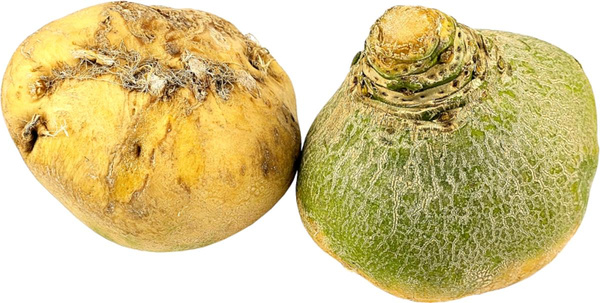 Produktfoto zu Steckrüben Wilhelmsburger