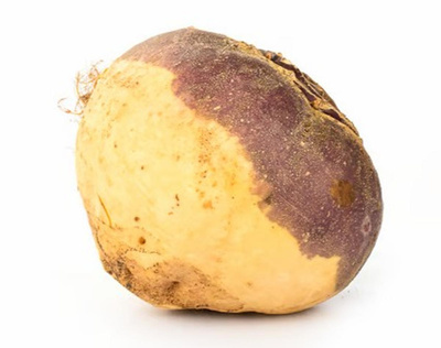 Produktfoto zu Steckrüben Helenor