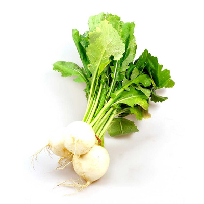 Produktfoto zu Mairübchen weiss