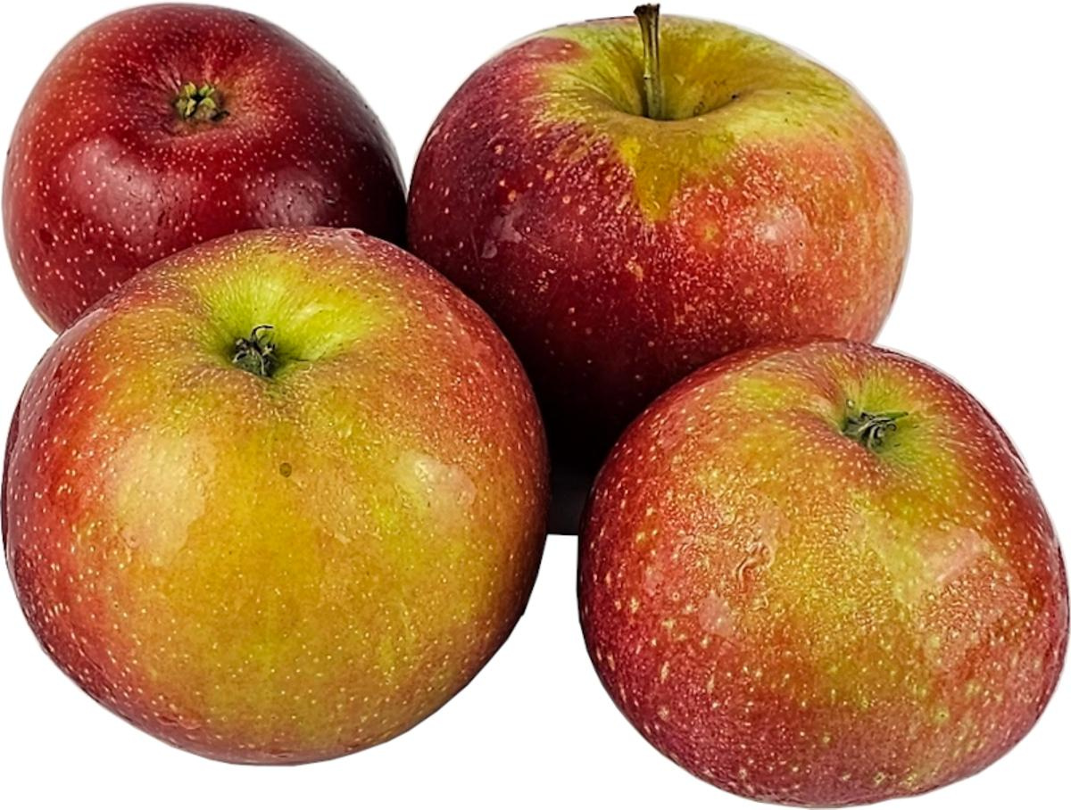Apfel - Freya
