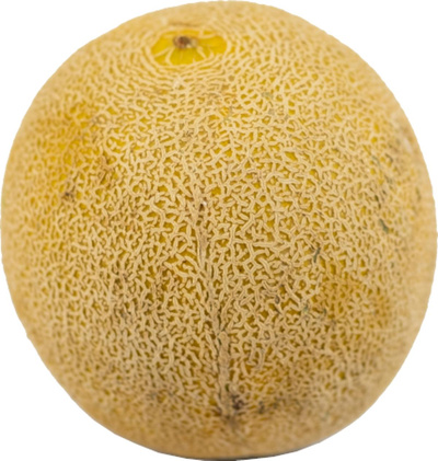 Produktfoto zu Melone - Galia