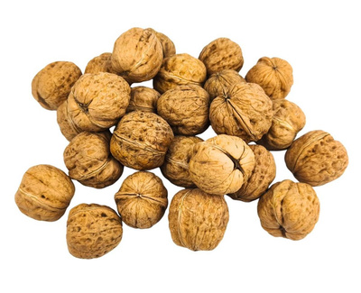 Produktfoto zu Walnüsse Lara