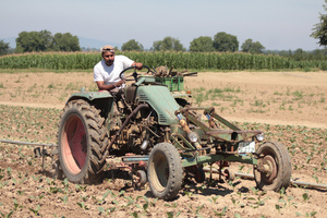 KI generiert: Mann auf einem Traktor bearbeitet ein Feld; im Hintergrund sind Felder und Bäume sichtbar.